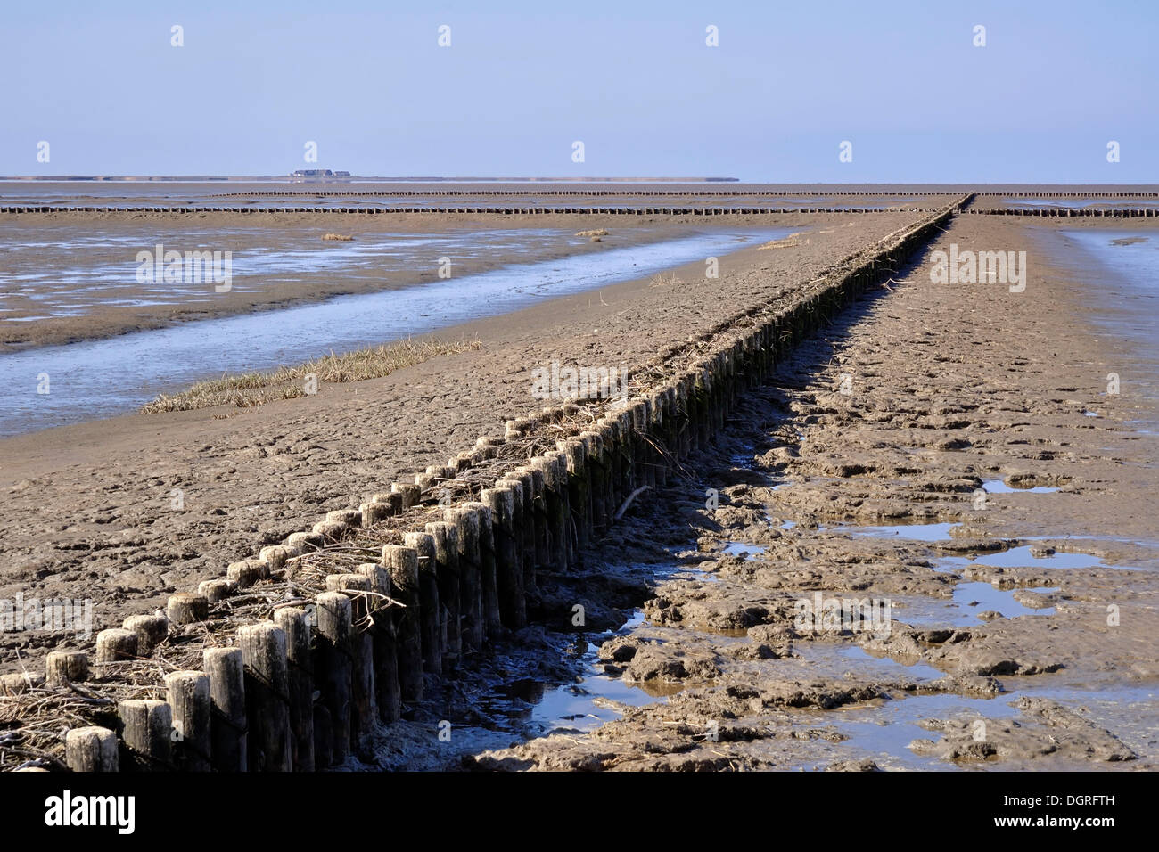 Vista sul mare di Wadden con la protezione delle zone costiere, pennelli, Hallig Langeness, piccola isola, sul retro, il Mare del Nord a riva, Foto Stock