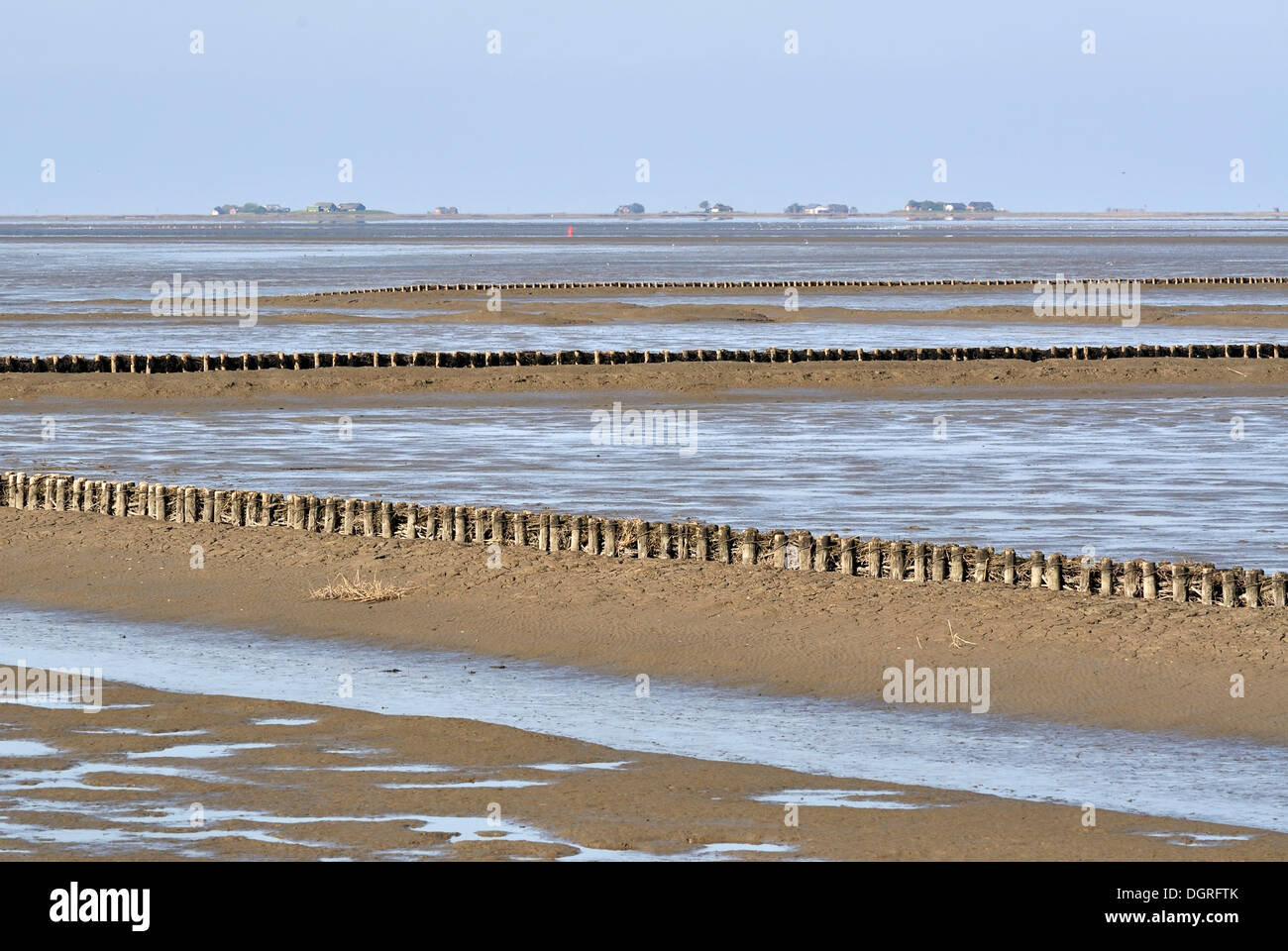 Vista sul mare di Wadden con la protezione delle zone costiere, pennelli, Hallig Langeness, piccola isola, sul retro, il Mare del Nord a riva, Foto Stock