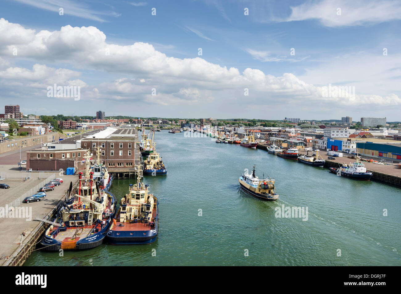 Porto di Ijmuiden con ormeggiate barche da pesca o di navi per la pesca a strascico e rimorchiatori, North Holland, Paesi Bassi, Europa Foto Stock