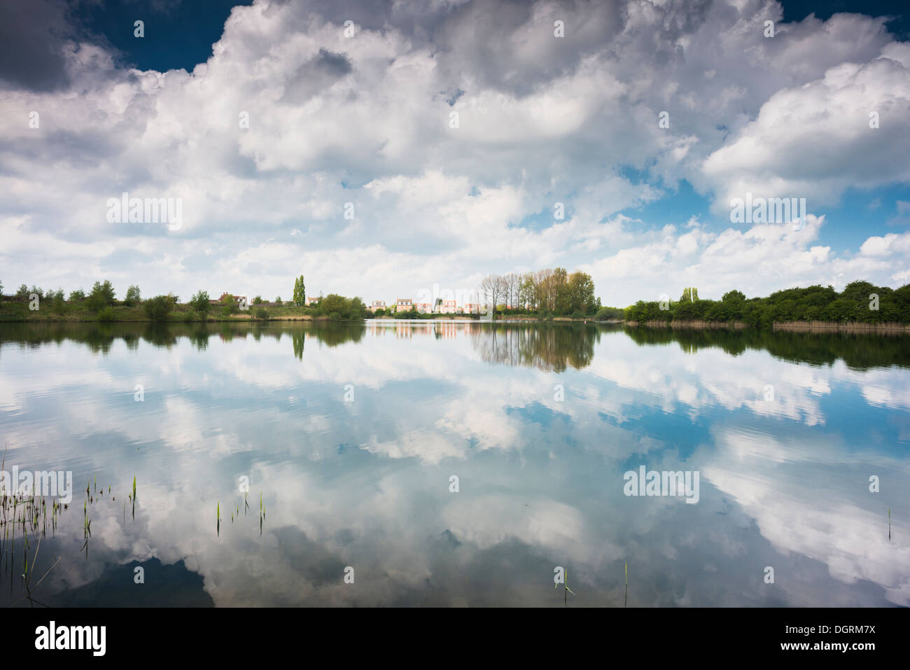 Occhio verde natura locale riserva, Peterborough, CAMBRIDGESHIRE, una ex cava di ghiaia, ora restaurato come una riserva naturale Foto Stock