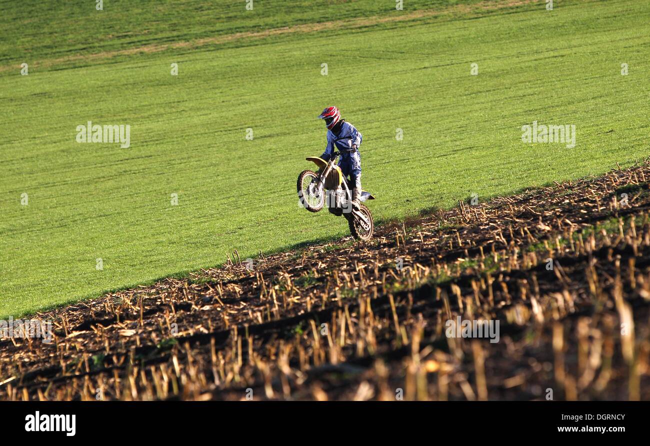 Un driver di motocross pratiche su un campo di raccolto di mais vicino Kreen, Germania, 24 ottobre 2013. Foto: Karl-Josef Hildenbrand Foto Stock