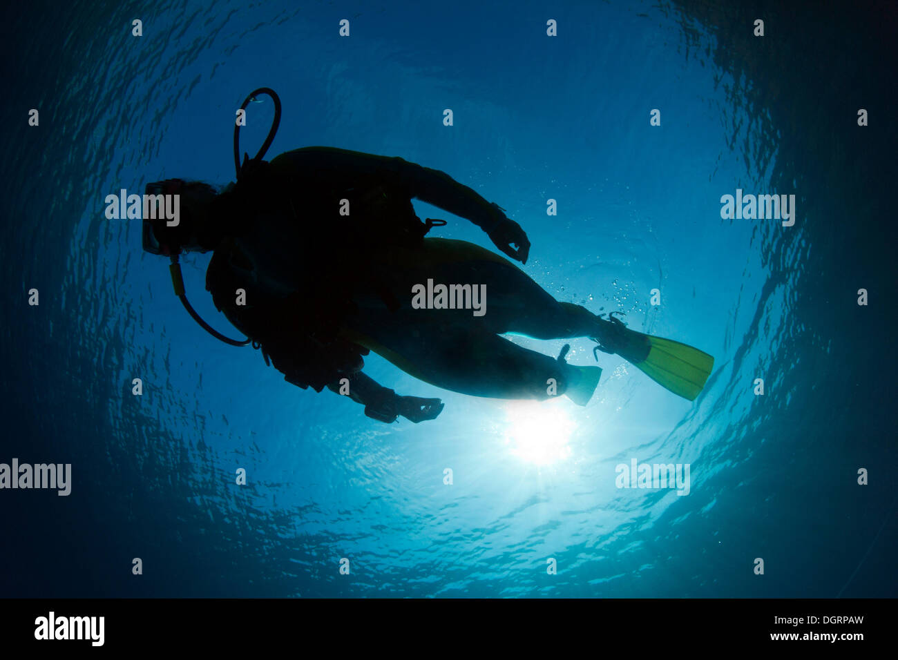 Silhouette di un subacqueo sotto l'acqua, Pazifik, Australia Foto Stock