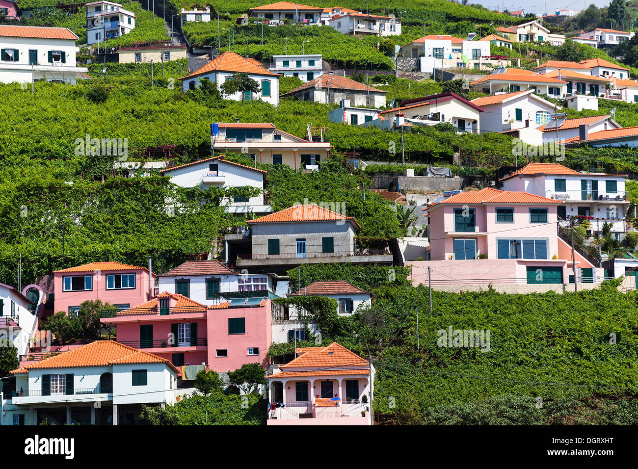 Le case colorate di Câmara de Lobos, Funchal, Estreito de Câmara de Lobos, Ilha da Madeira, Portogallo Foto Stock