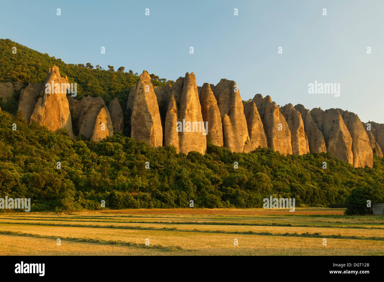 Les Pénitents formazioni rocciose, Les Mées, Digne-les-Bains, regione della Provenza, Département Alpes-de-Haute-Provence, Francia Foto Stock