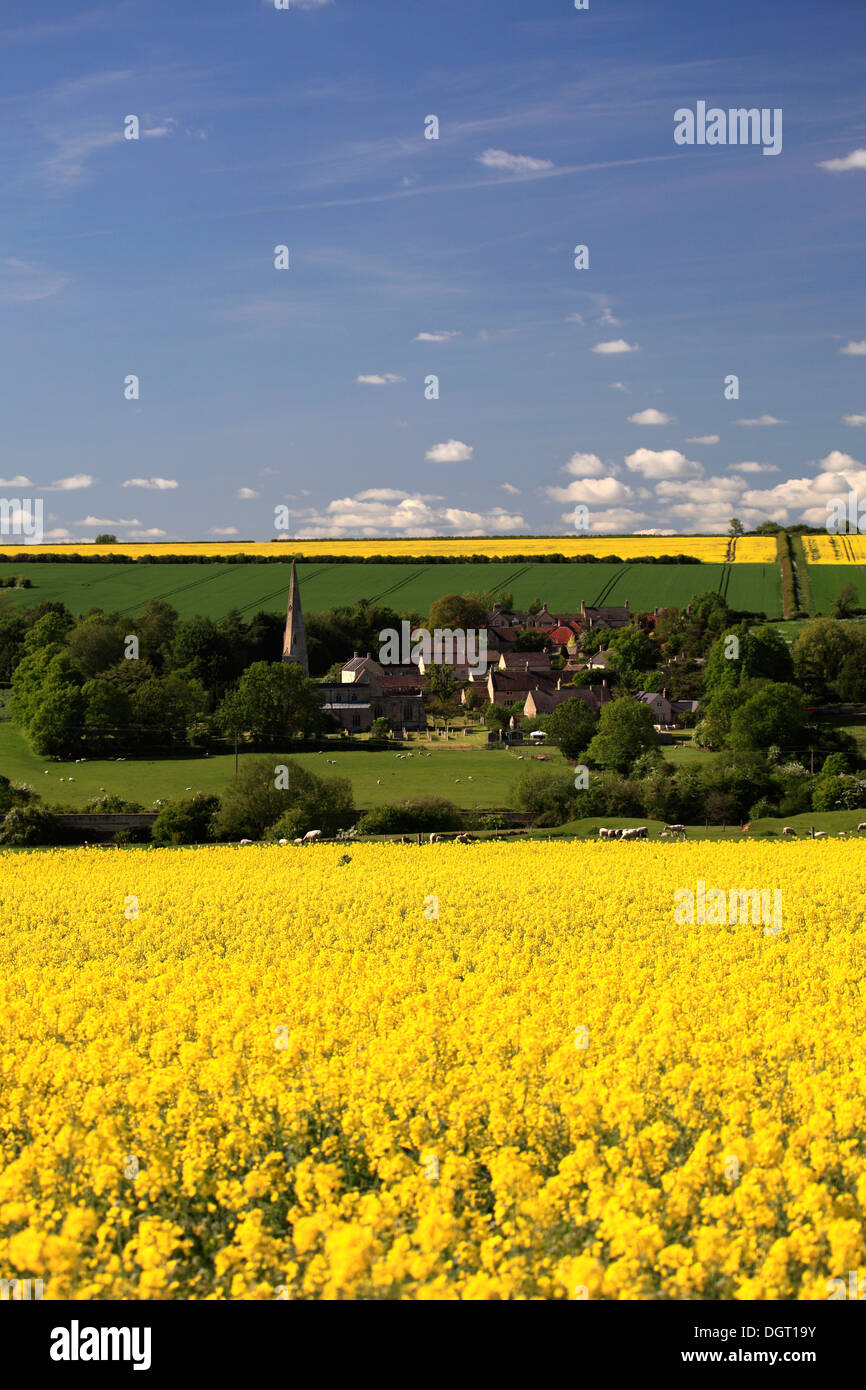 Estate vista sul villaggio Barrowden, Rutland County, England, Regno Unito Foto Stock
