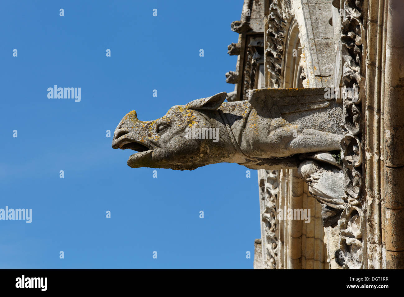 Cattedrale di Laon, un Gargoyle, Laon, Via Francigena, una antica strada dalla Francia a Roma, dipartimento Aisne, Picardia regione Foto Stock