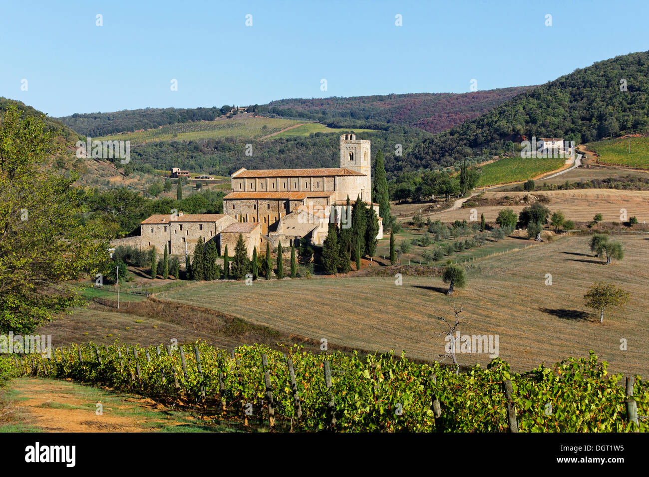 Sant'Antimo, Castelnuovo del Abate, Montalcino, Regione Toscana, provincia di Siena, Italia, Europa Foto Stock