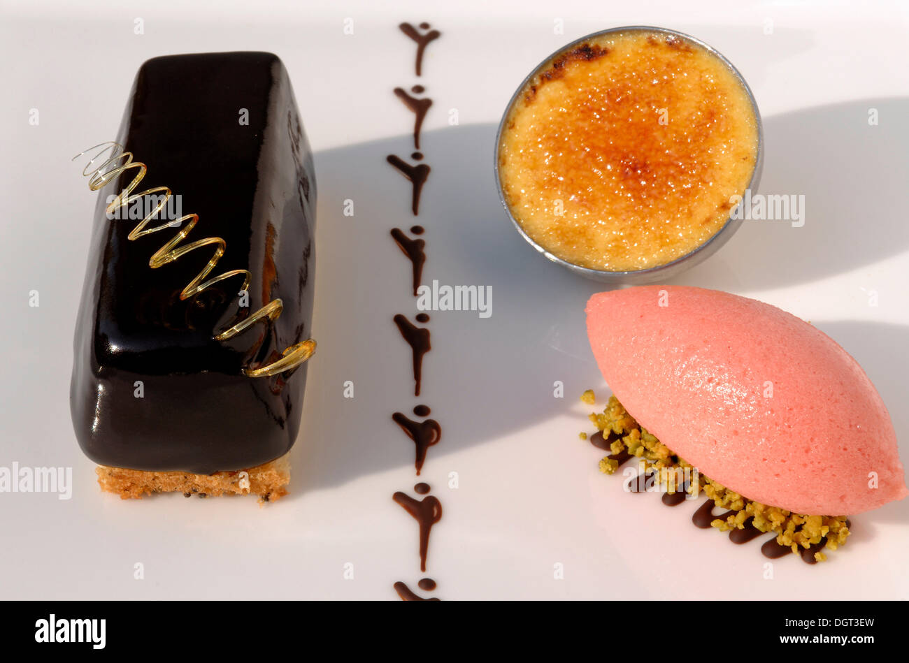 Il dessert, torta al cioccolato, crème brûlée e rabarbaro gelato, decorata su una piastra bianca, Haute Cuisine, cibo Foto Stock