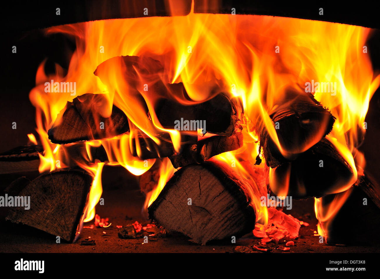 Bruciando legno di faggio in un forno tarte, Ringsheim, Baden-Wuerttemberg Foto Stock