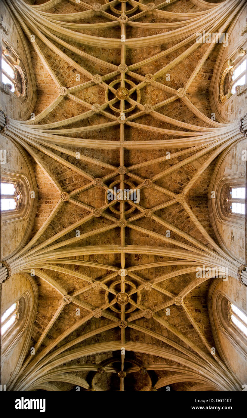 Soffitto Cattedrale di Leon in Spagna Foto Stock Soffitto Cattedrale di Leon in Spagna Foto Stock
