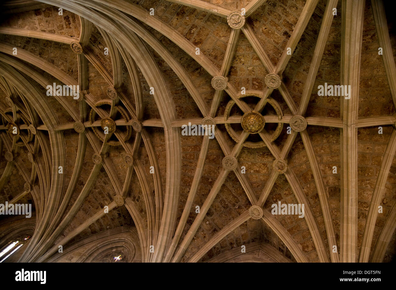 Soffitto Cattedrale di Leon in Spagna Foto Stock Soffitto Cattedrale di Leon in Spagna Foto Stock