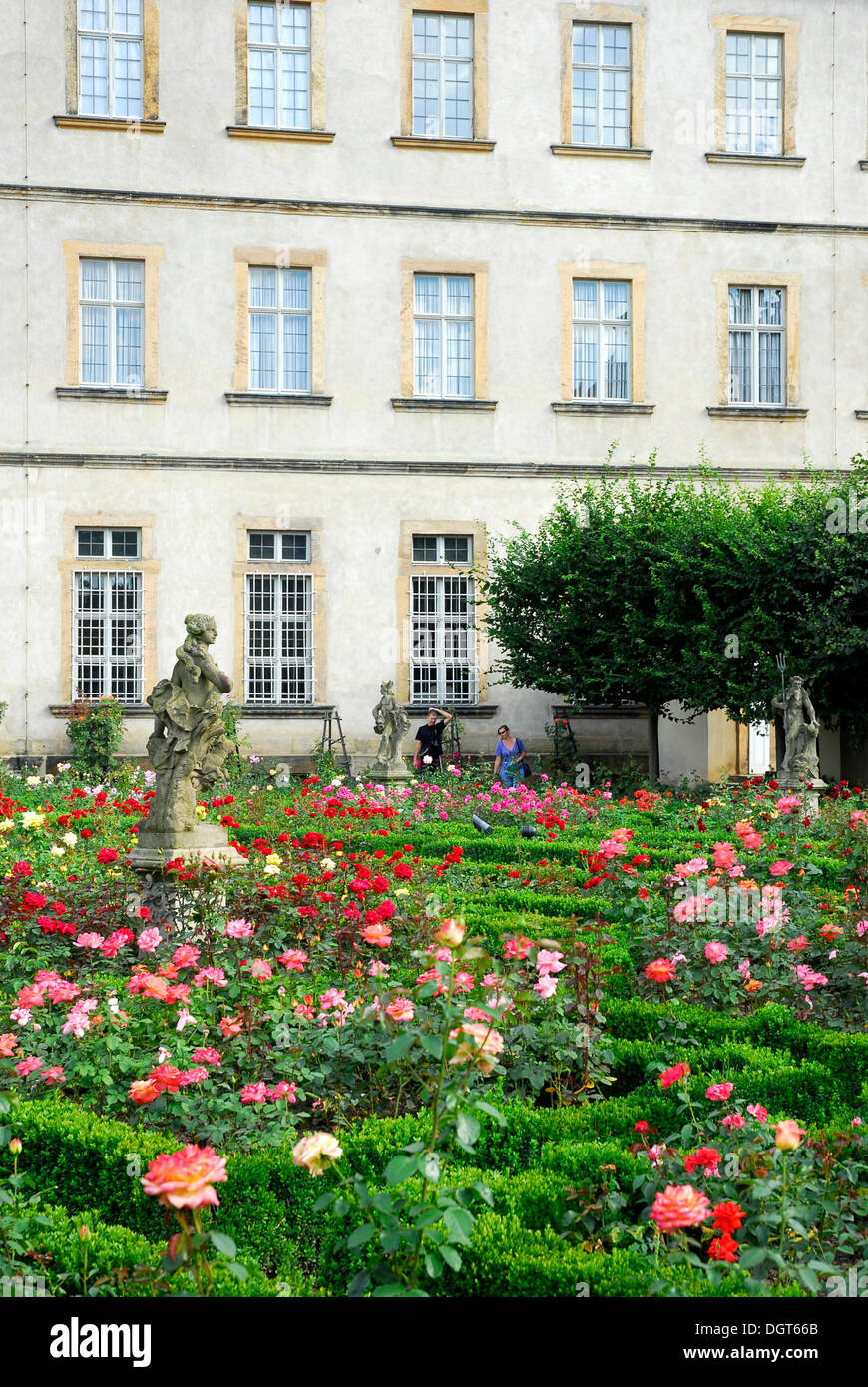 Giardino di Rose, Neue Residenz residence con Staatsgalerie Galleria Nazionale, sito Patrimonio Mondiale dell'UNESCO di Bamberg, Alta Franconia Foto Stock