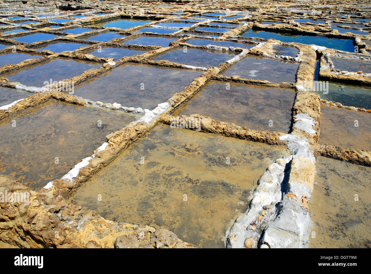 Opere di sale, costa rocciosa con salines, Xwejni Bay, Marsalforn, isola di Gozo, Repubblica di Malta, Mare Mediterraneo, Europa Foto Stock