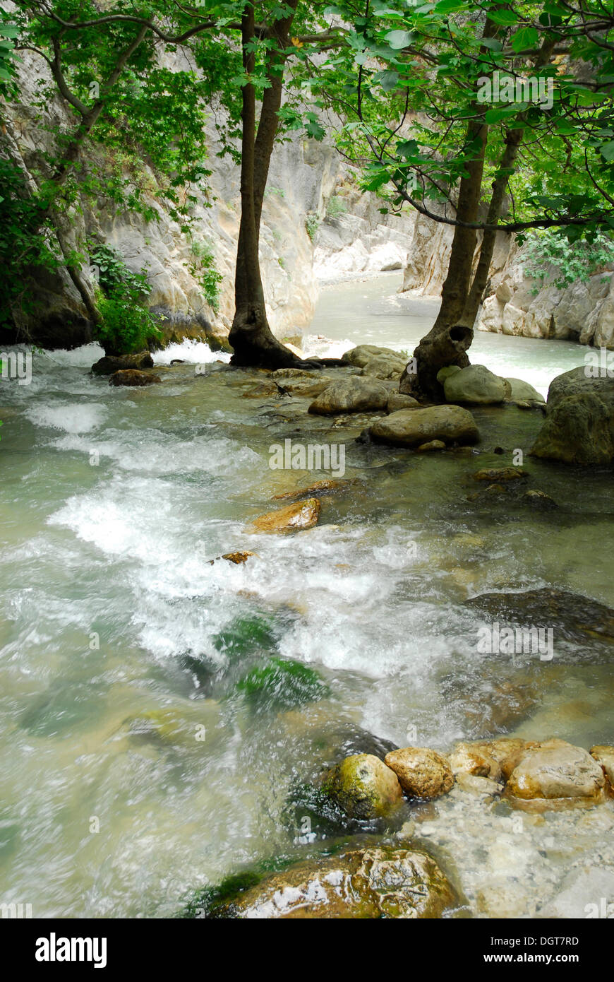 Saklikent canyon parco naturale, Esen Cay whitewater gorge, rock canyon nel Ak daglar, Akdagi Montagne Foto Stock