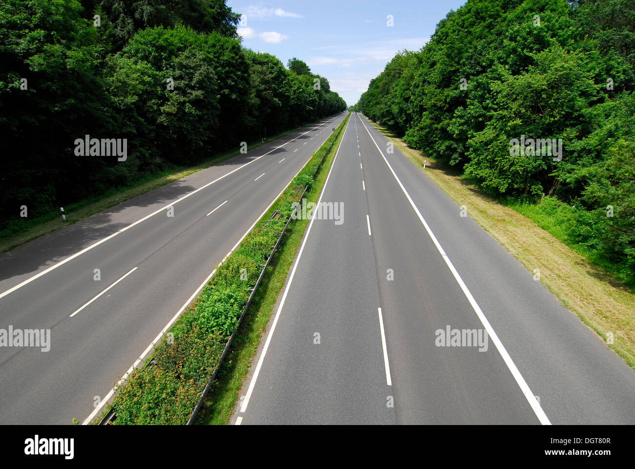 Autobahn, vuoto autostrada attraverso la Frankfurter Stadtwald boschi, Frankfurt am Main, Hesse Foto Stock