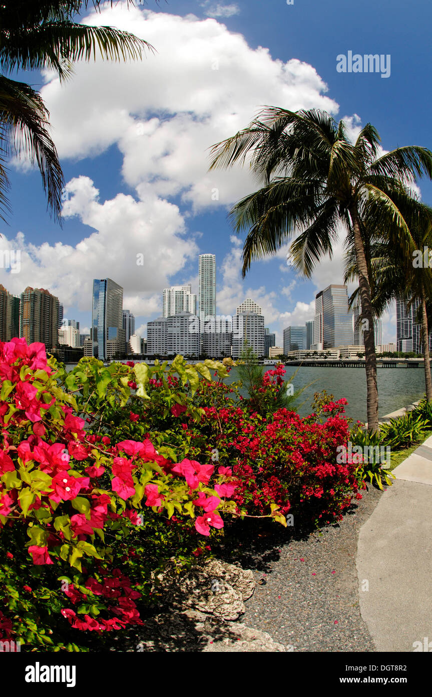 Brickell Key Drive, Downtown Miami, Florida, Stati Uniti d'America Foto Stock