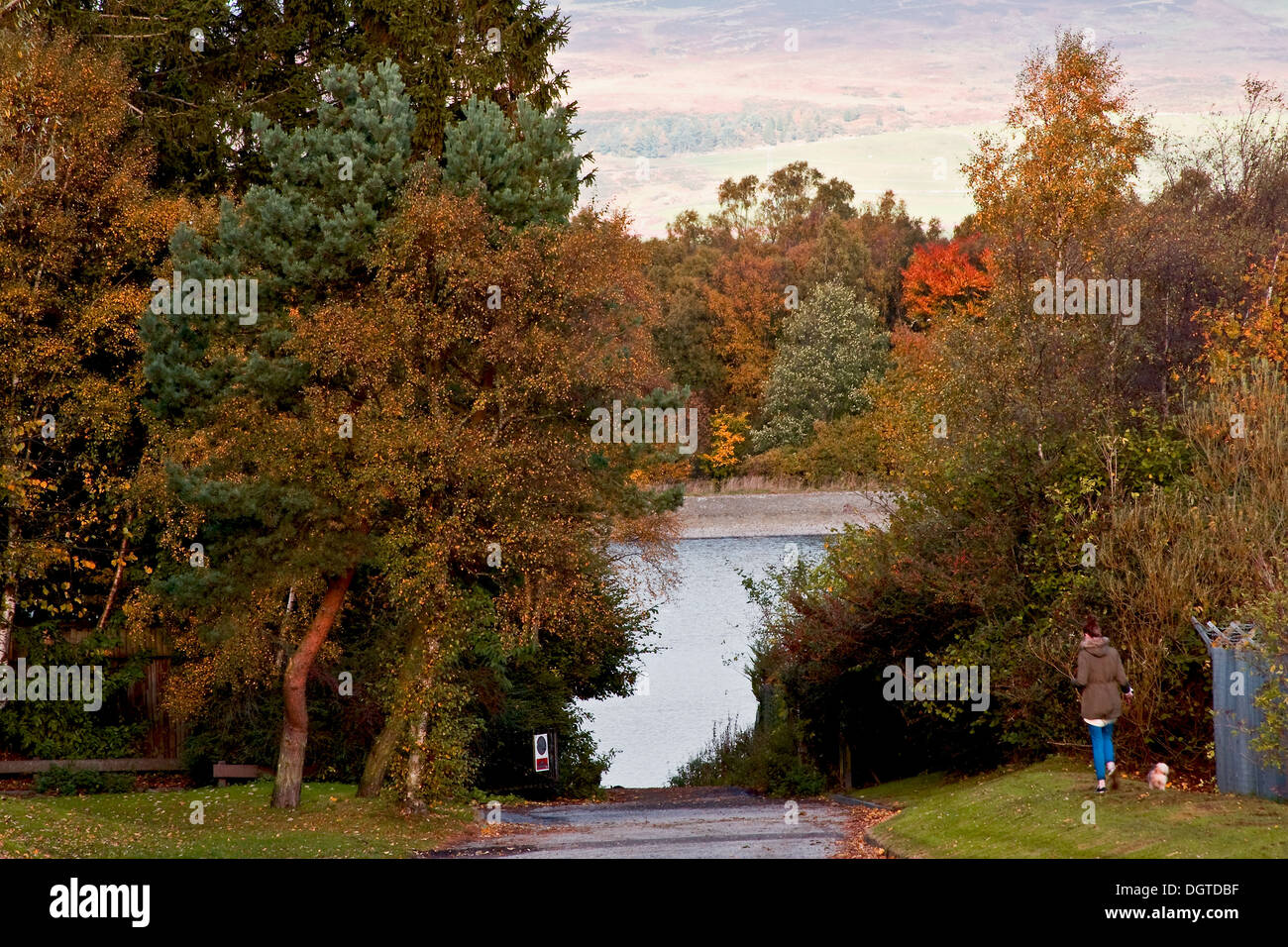 Donna che cammina con il suo cane in una giornata di sole all'interno Clatto Park durante la stagione autunnale di Dundee, Regno Unito Foto Stock