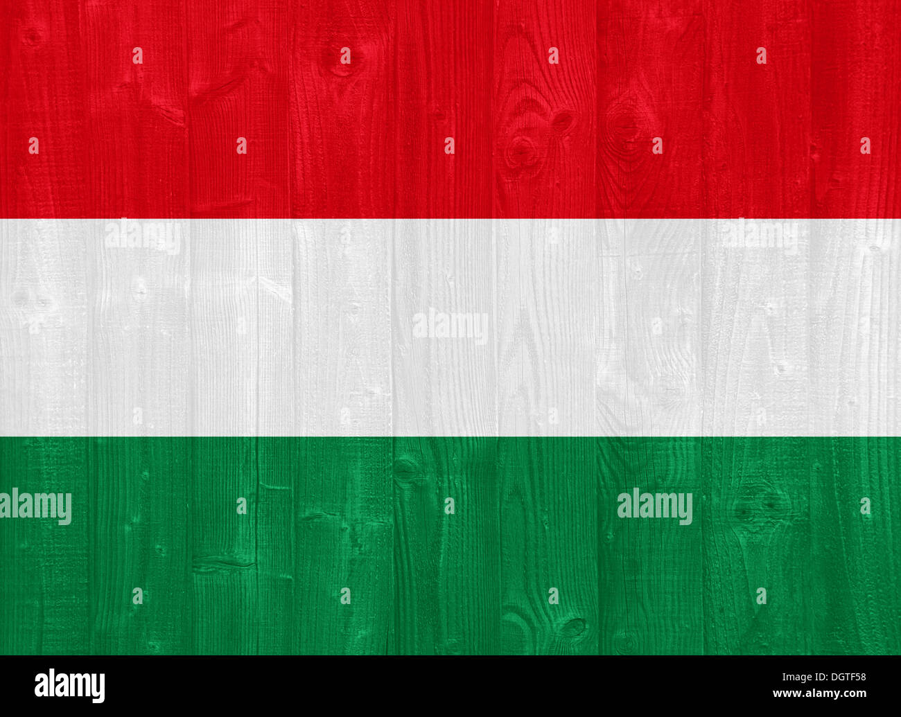 Splendida Ungheria bandiera dipinta su un asse di legno texture Foto Stock