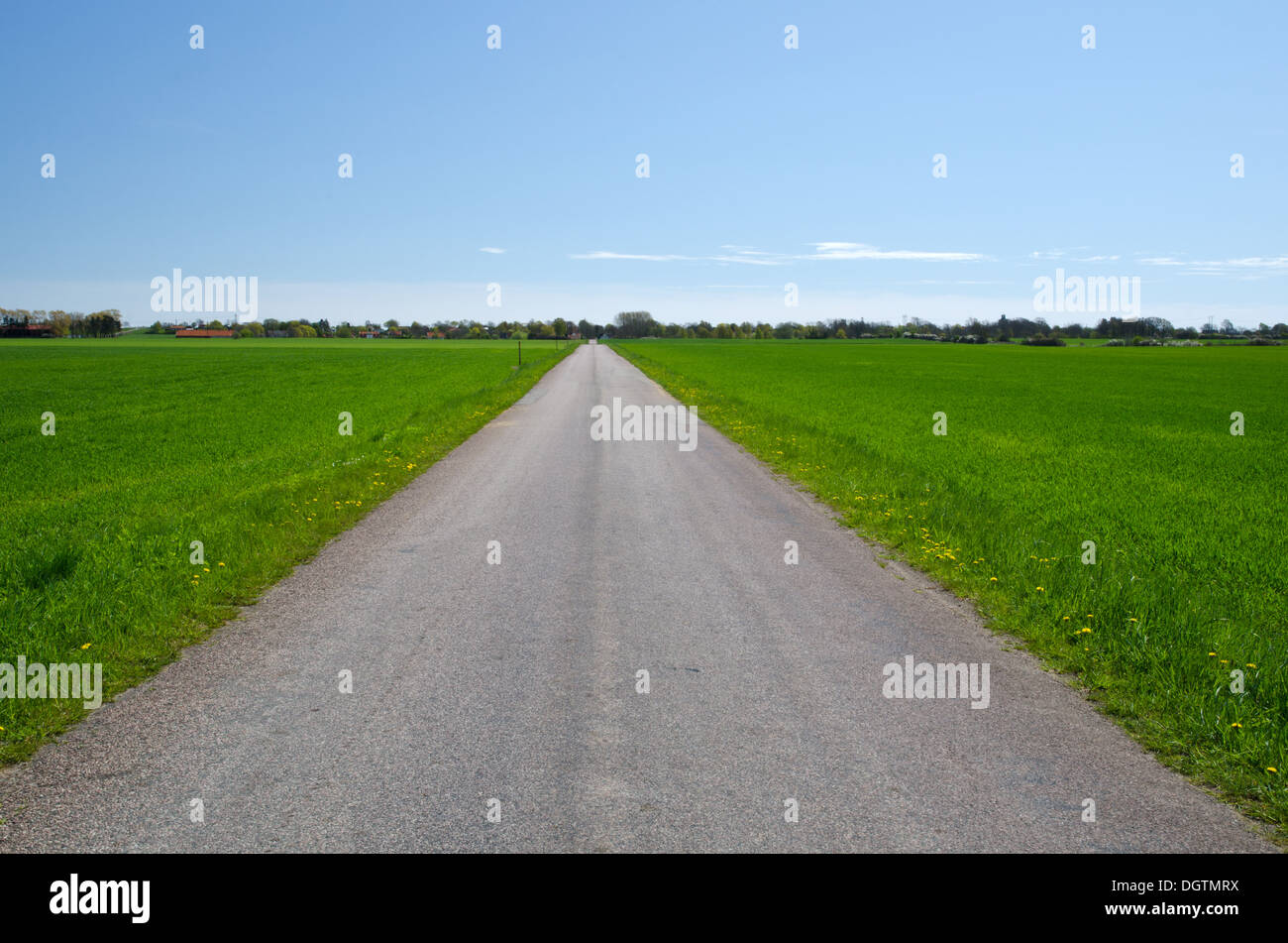 Strada nel verde Foto Stock