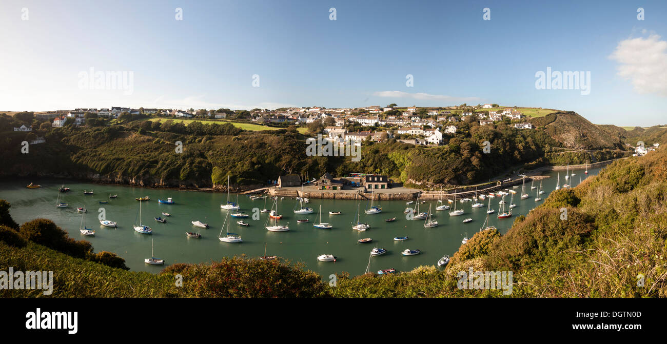 Vista panoramica del porto di Solva, Pembrokeshire Foto Stock