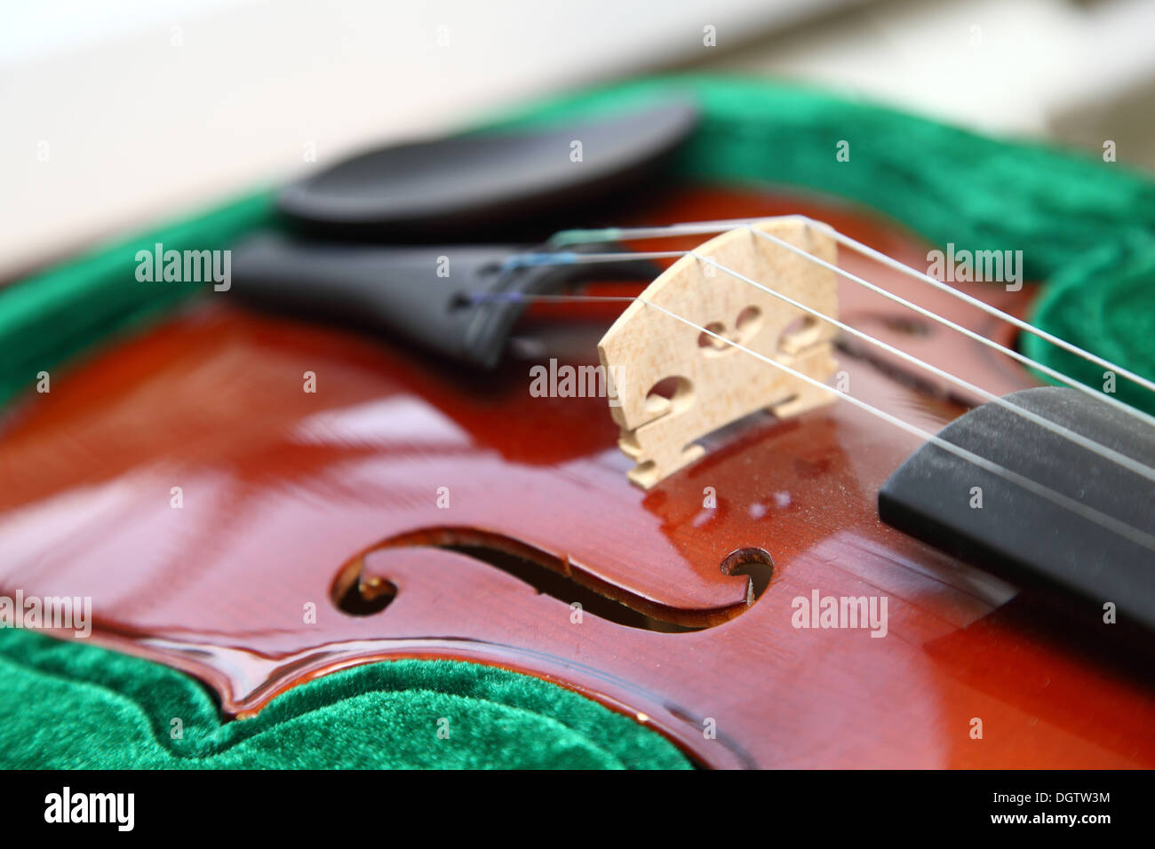 Un nuovo violino in un caso di velluto Foto Stock