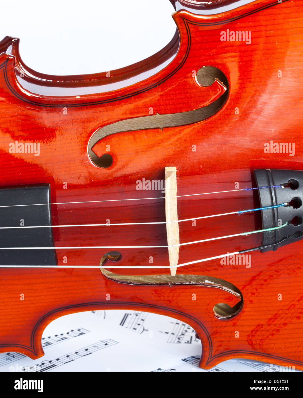 Violino isolati su sfondo bianco Foto Stock