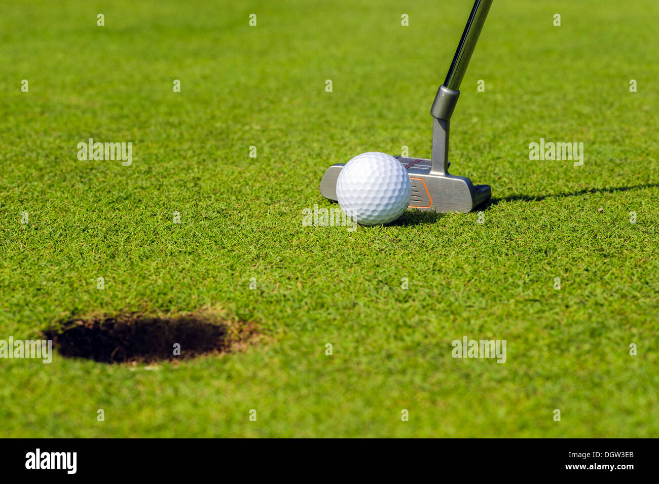 Putter, palla da golf e foro Foto Stock