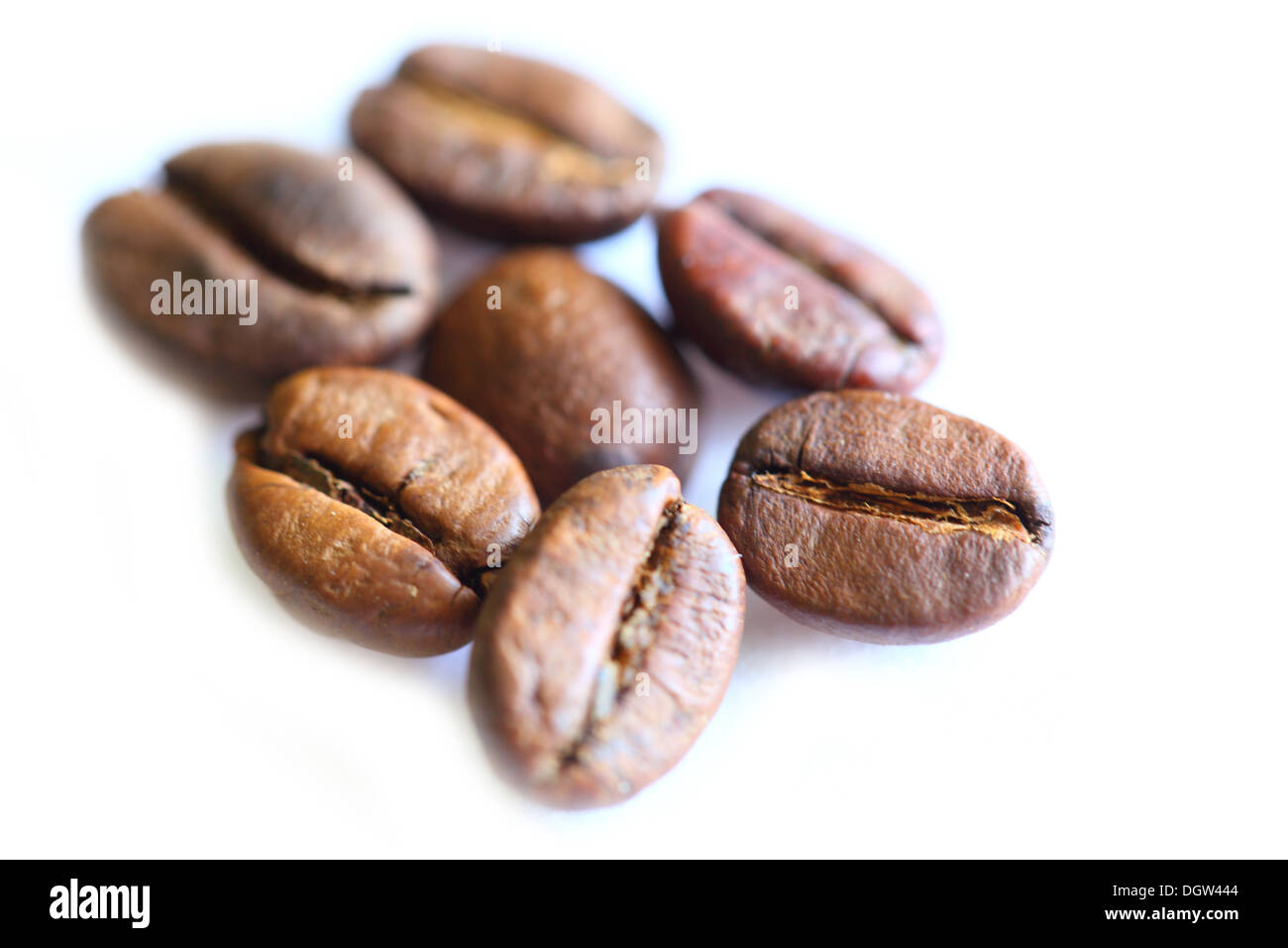 I chicchi di caffè su sfondo bianco Foto Stock