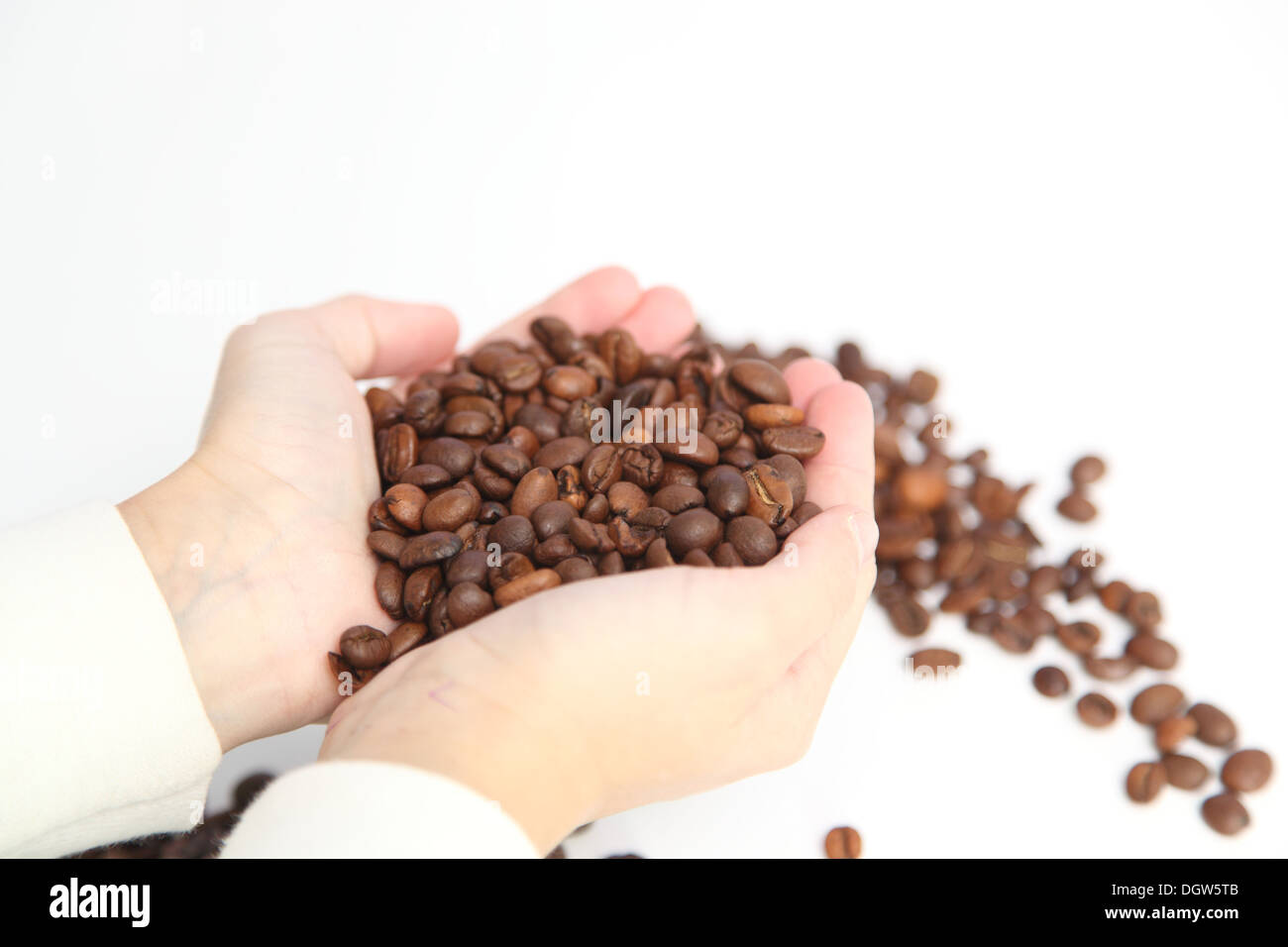 I chicchi di caffè nelle mani di un bambino Foto Stock