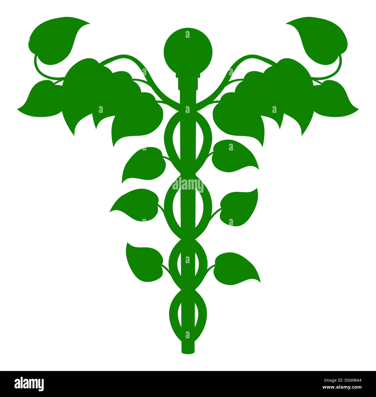 Illustrazione di un caduceo costituito da foglie, DNA o medicina olistica concept Foto Stock