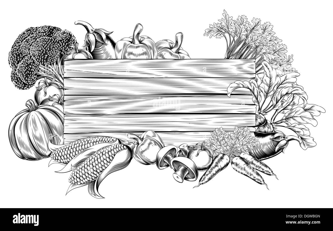 Un vintage retrò xilografia stampa o incisione vegetale stile cartello in legno illustrazione Foto Stock