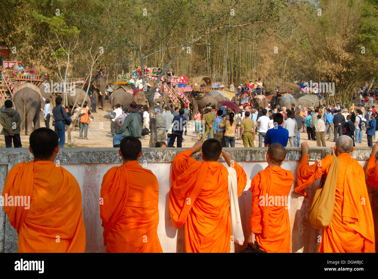 Il Buddismo Theravada, elefanti e turisti, i monaci buddisti guardando parade, Festival di elefante, Ban Viengkeo, Hongsa Foto Stock