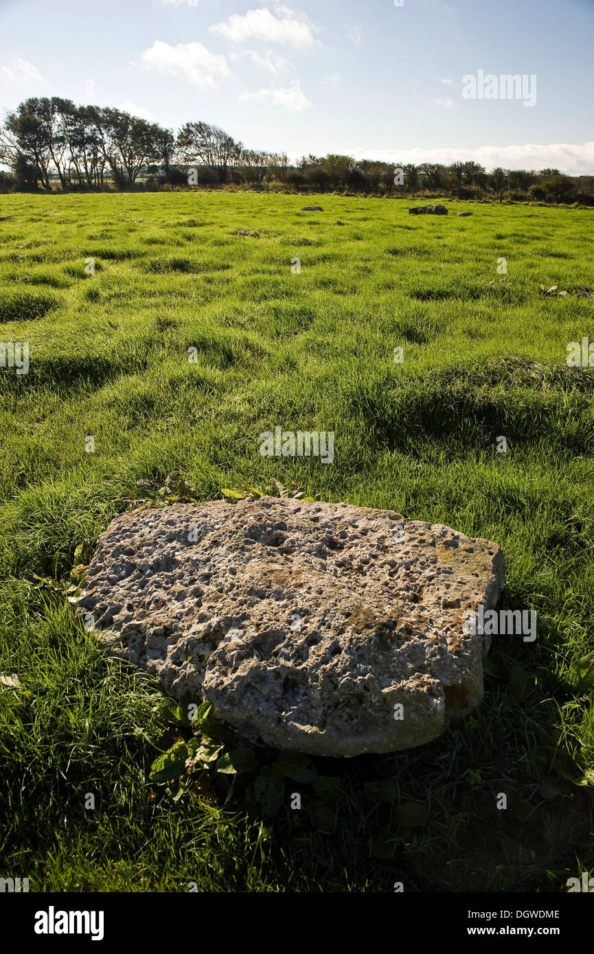 Kingston Russell tardo Neolitico/età del Bronzo antico cerchio di pietra vicino Portesham, Dorset, Regno Unito Foto Stock