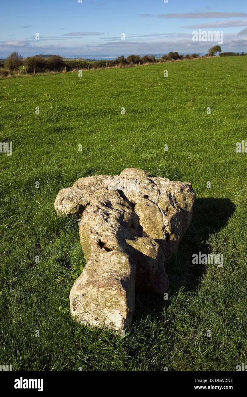 Kingston Russell tardo Neolitico/età del Bronzo antico cerchio di pietra vicino Portesham, Dorset, Regno Unito Foto Stock