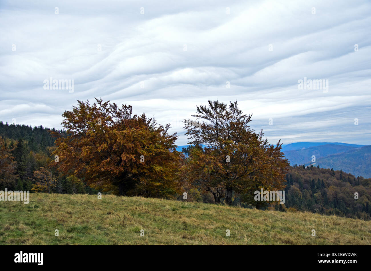 Le montagne in autunno Foto Stock