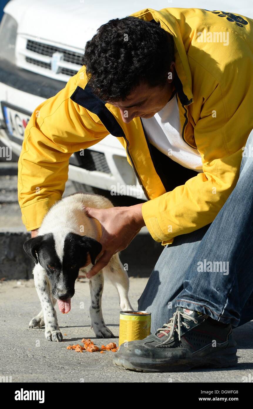 Un cane catcher prende un cane randagio di lui per portare a una libbra di Pitesti, Romania 21 ottobre 2013. L'animal shelter ospita 4.200 animali ed è gestito dall'associazione tedesca "Verein Tierhilfe Hoffnung e.V." (lit. Speranza Associazione animale). Numerose organizzazioni per la protezione degli animali stand up per la soppressione della nuova legge rumena per la macellazione di massa degli animali. Foto: Jens KALANE Foto Stock