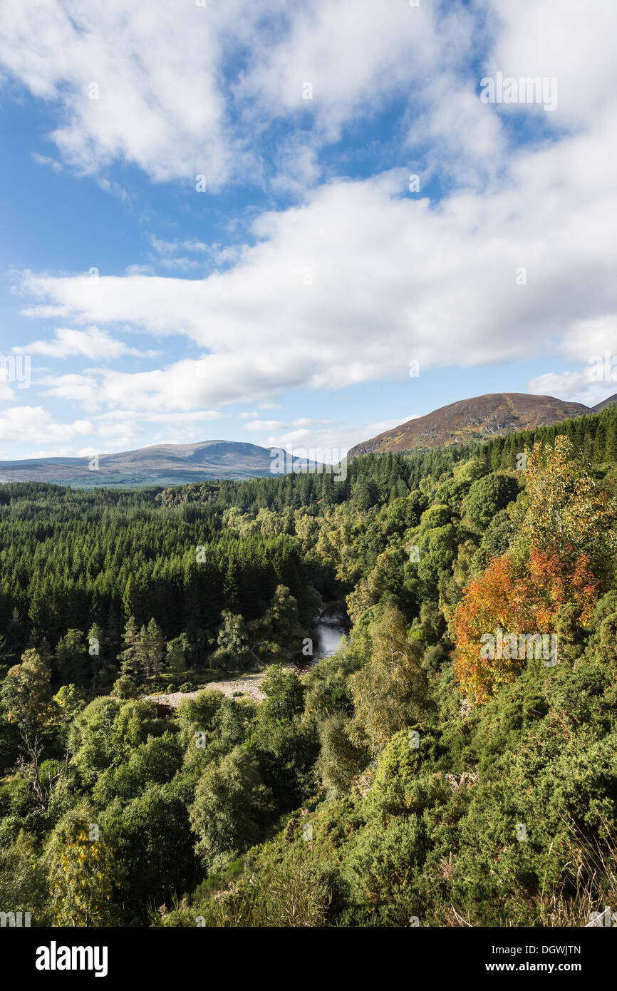 Ben Wyvis & Glen vetro nelle Highlands della Scozia. Foto Stock