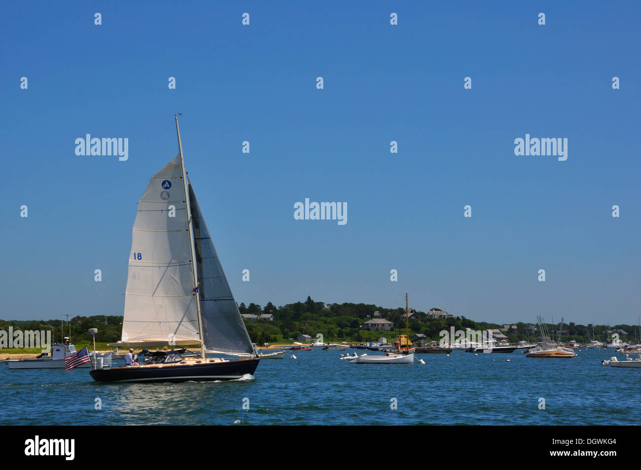 Barche a Martha's Vineyard, Massachusetts, STATI UNITI D'AMERICA Foto Stock