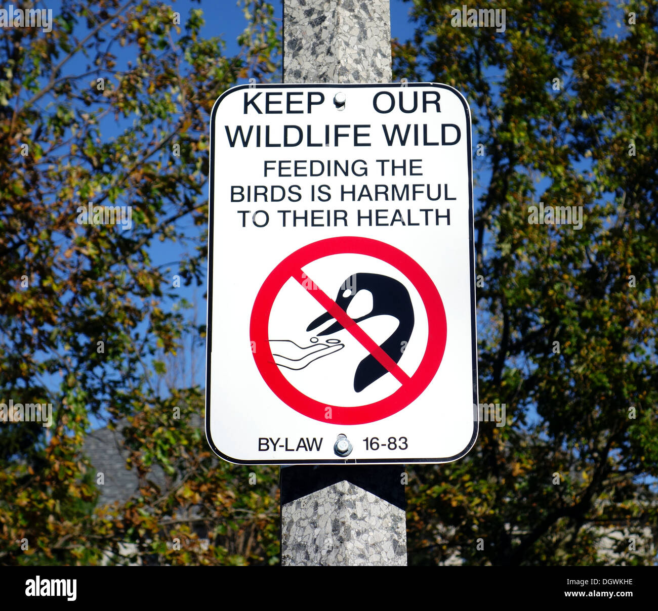 Mantenere la nostra fauna selvatica firmare in un parco a Toronto in Canada Foto Stock