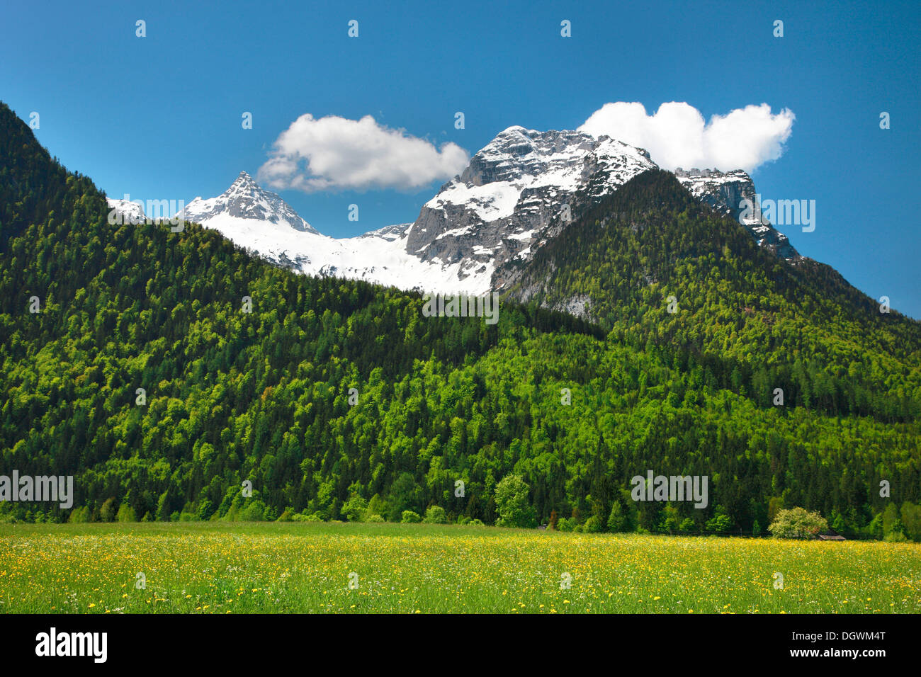 Prato di fronte Mt Reifhorn vicino a Lofer, Lofer, Salzburger Land, Stato di Salisburgo, Austria Foto Stock