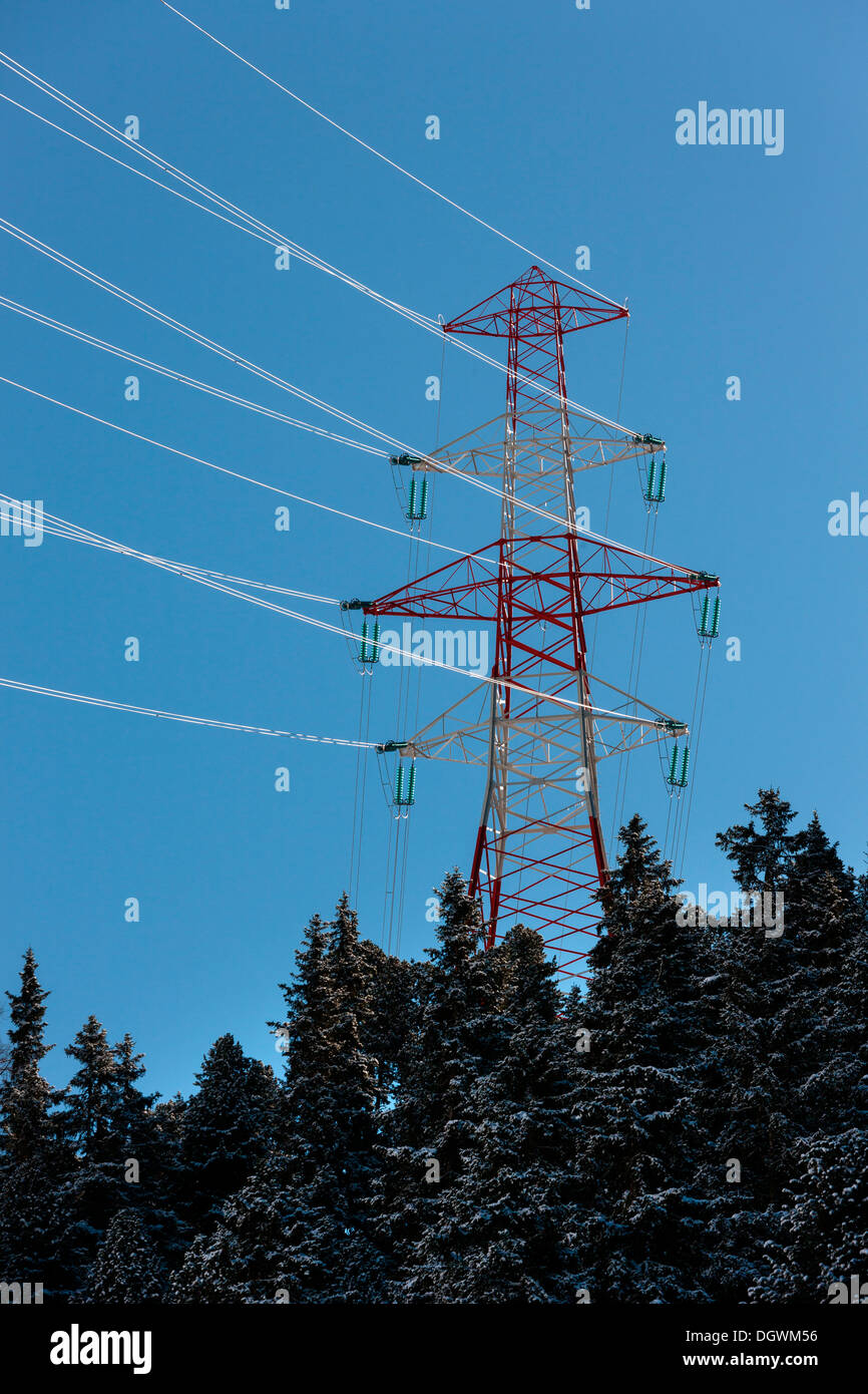 Pilone di elettricità ad alta tensione pilone, polo di alimentazione, con una foresta di conifere Foto Stock