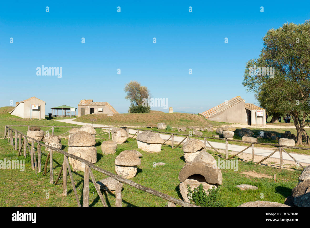 Tombe Etrusche con tumuli, Monterozzi necropoli, Tarquinia, Lazio, Italia, Europa meridionale, Europa Foto Stock