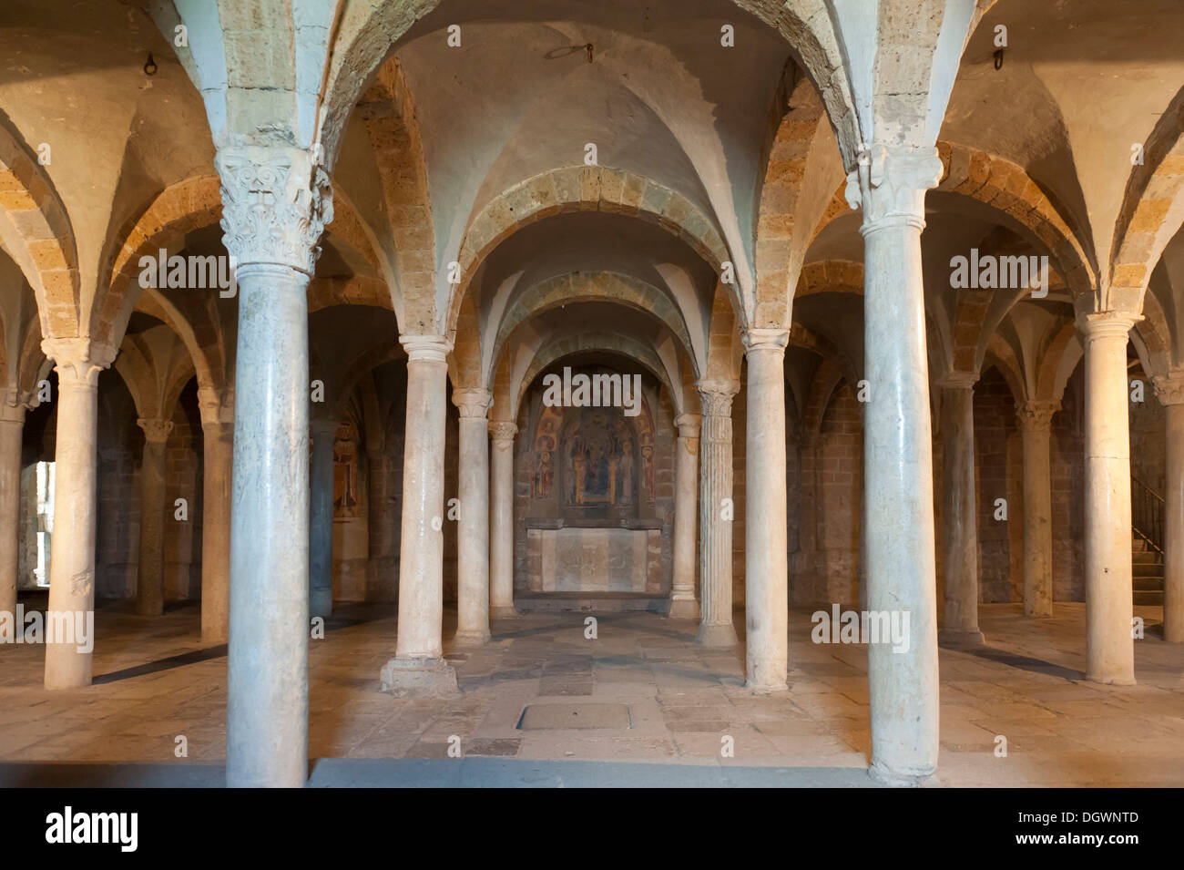 Cripta con un soffitto a volta e un sacco di colonne, la romanica Basilica di San Pietro, Tuscania, Lazio, Italia, Europa meridionale Foto Stock