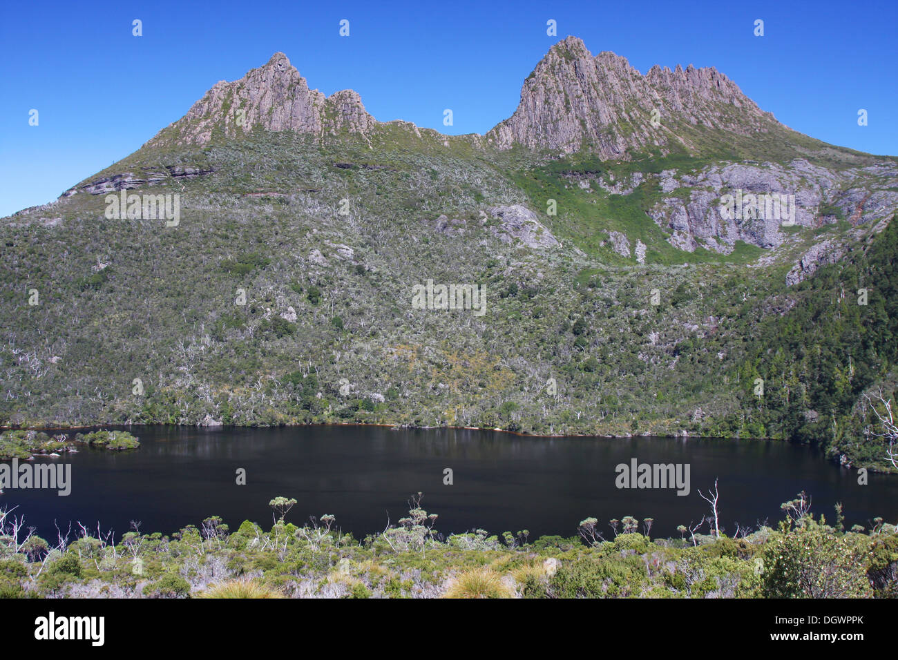Cradle Mountain e il Lago di Colomba in Tasmania, Australia Foto Stock