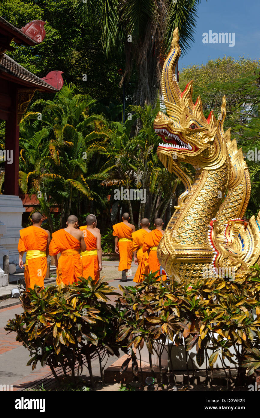 Naga figura a Viharn Luang, monaci, Wat Phra Singh, Chiang Mai, Thailandia del Nord della Thailandia, Asia Foto Stock