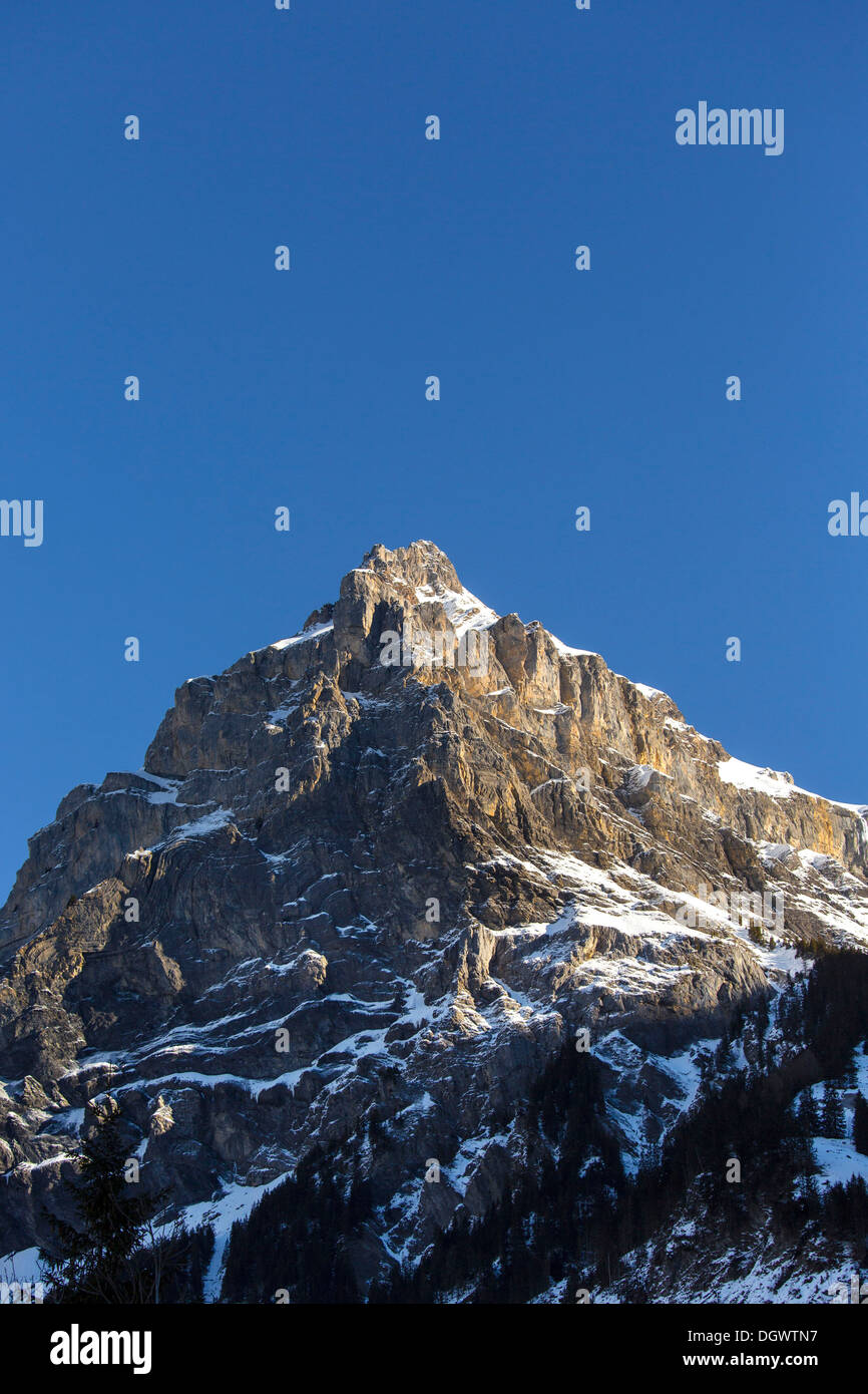 Bire montagna, 2502m, montagna locale di Kandersteg, Alpi Bernesi, Kandersteg, cantone di Berna, Svizzera Foto Stock
