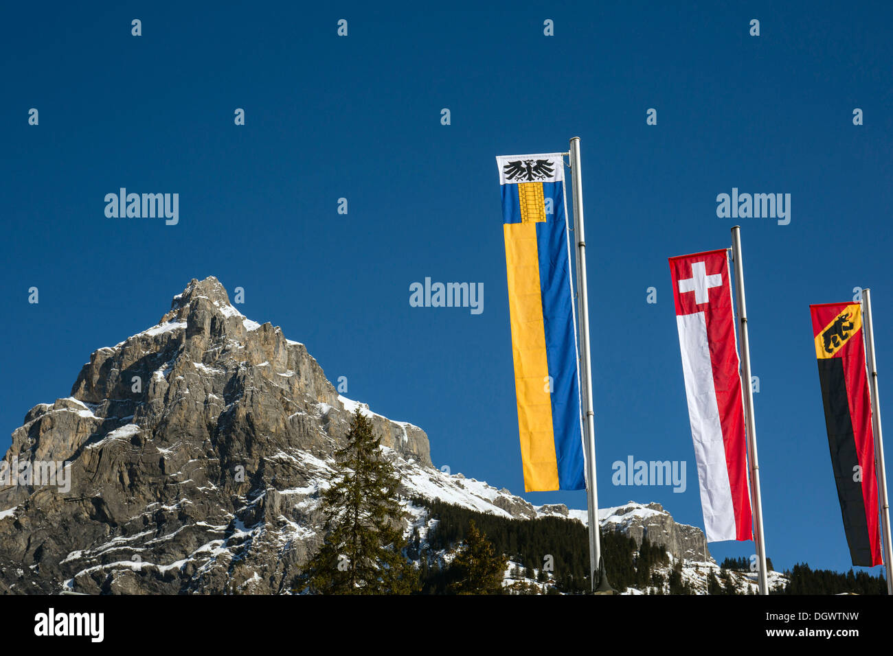 Bire montagna, 2502m, montagna locale di Kandersteg, bandiere di Kandersteg, la Svizzera e il cantone di Berna, Alpi bernesi Foto Stock