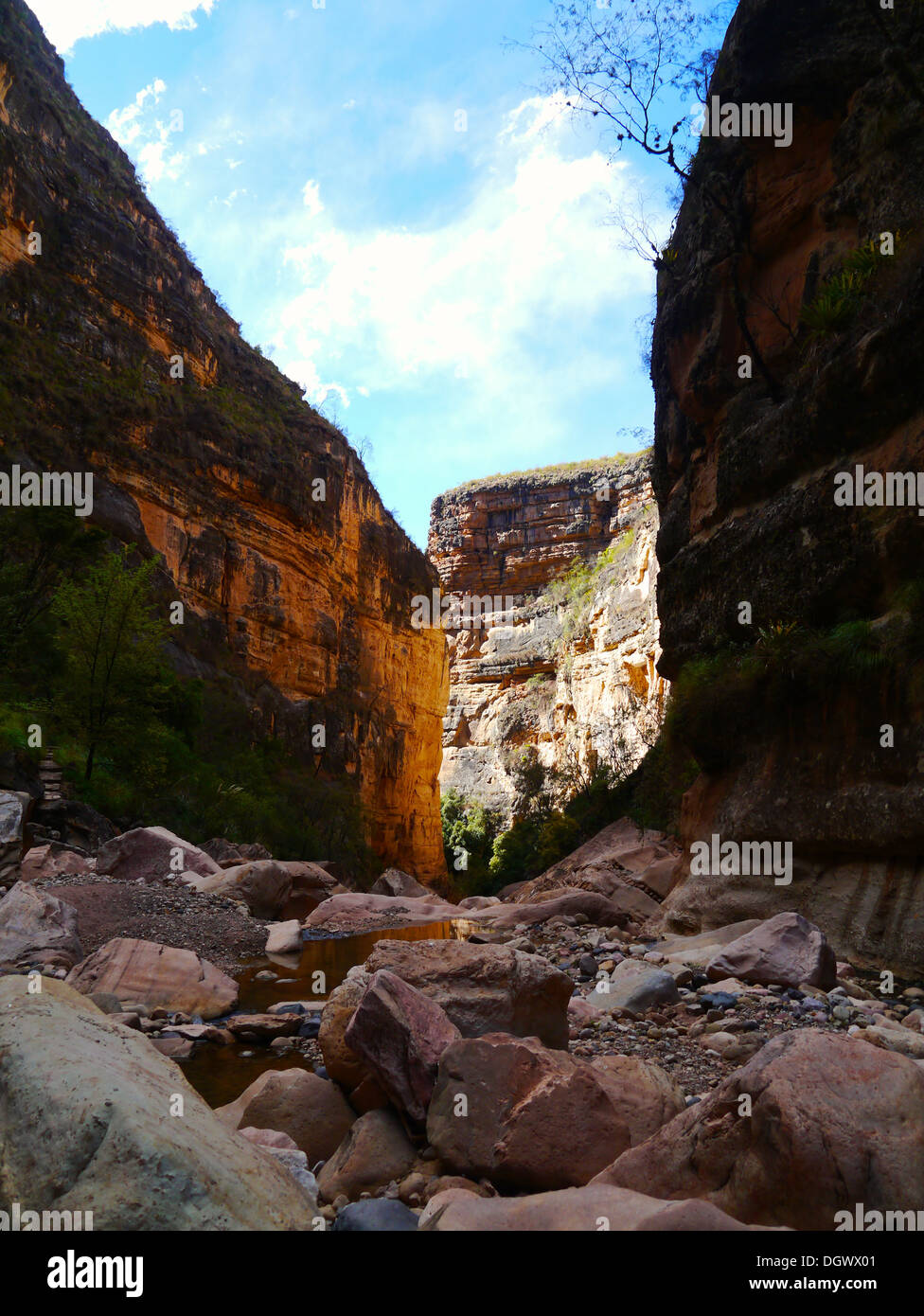 L'incredibile canyon ToroToro nel Parco Nazionale, Bolivia Foto Stock