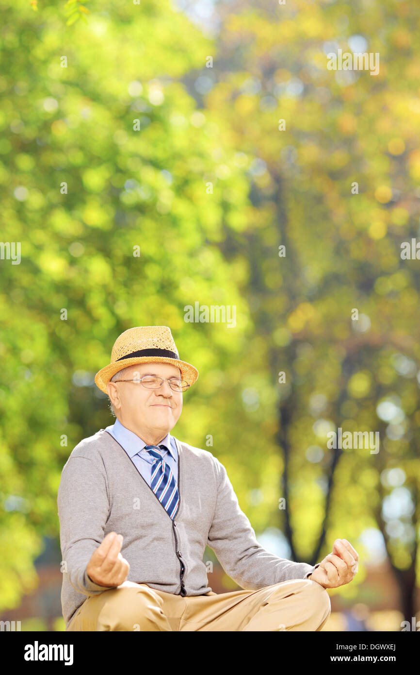 Senior gentleman meditando seduto su un prato in un parco Foto Stock