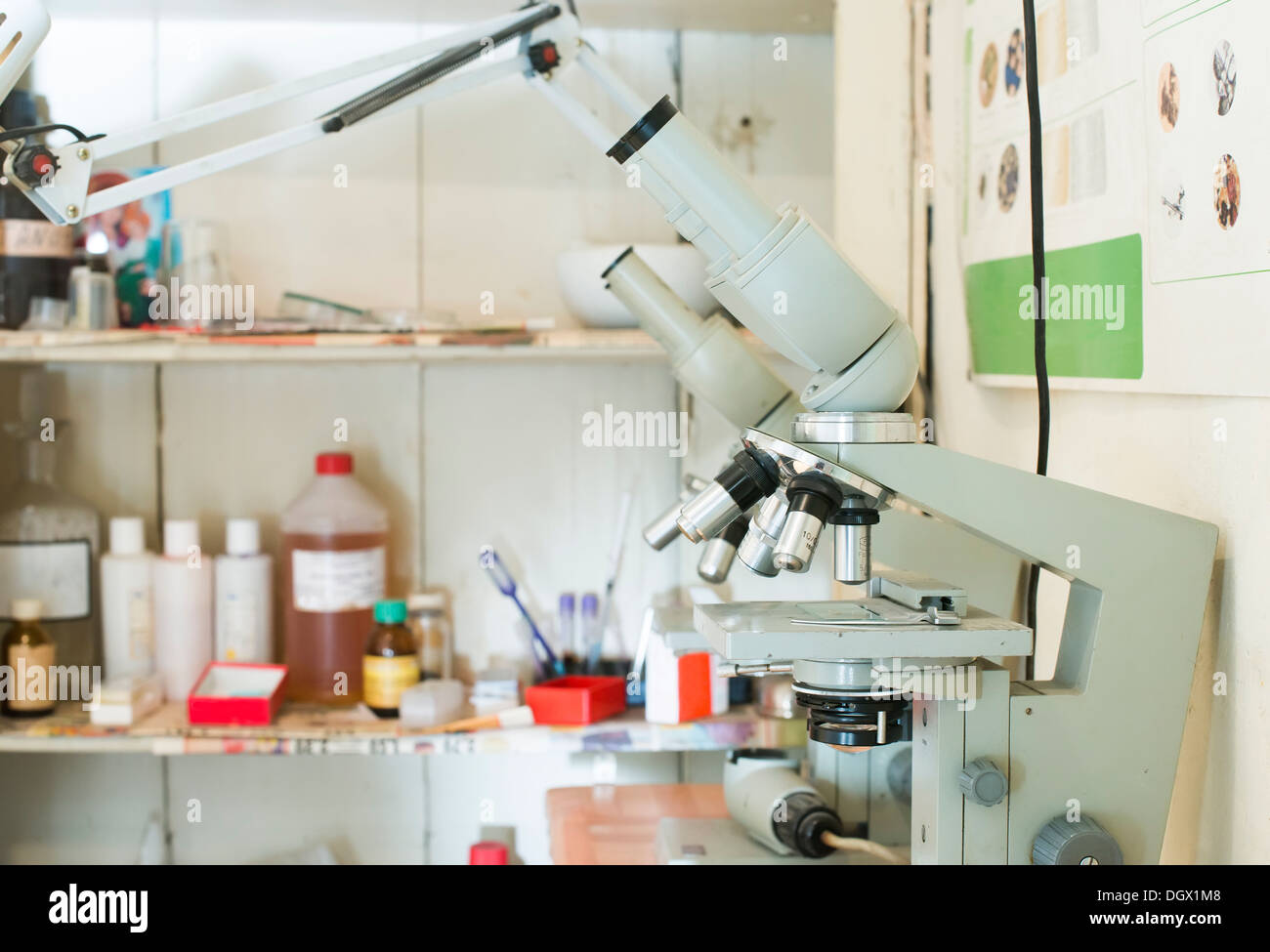 Laboratorio veterinario. Microscopio e medicinali Foto Stock